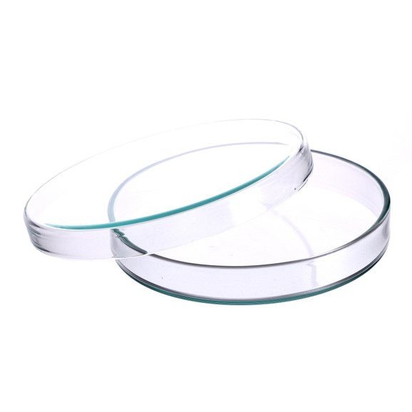 Glass Petri Dishes: 90Mm X 15Mm - Pack Of 10 - ABC School Supplies
