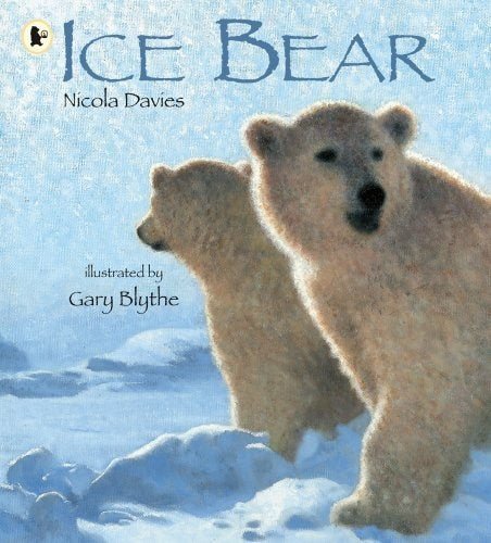 Ice Bear - ABC School Supplies