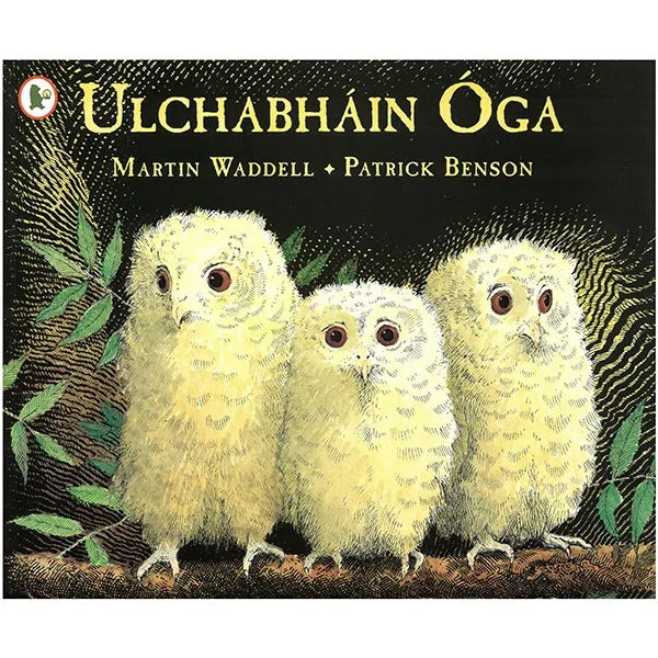 Ulchabhain Oga (Owl Babies)
