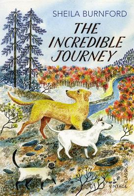 Incredible Journey - ABC School Supplies