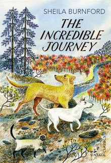 Incredible Journey - ABC School Supplies