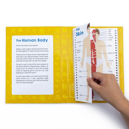 Junior Learning Anatomy Flips - ABC School Supplies