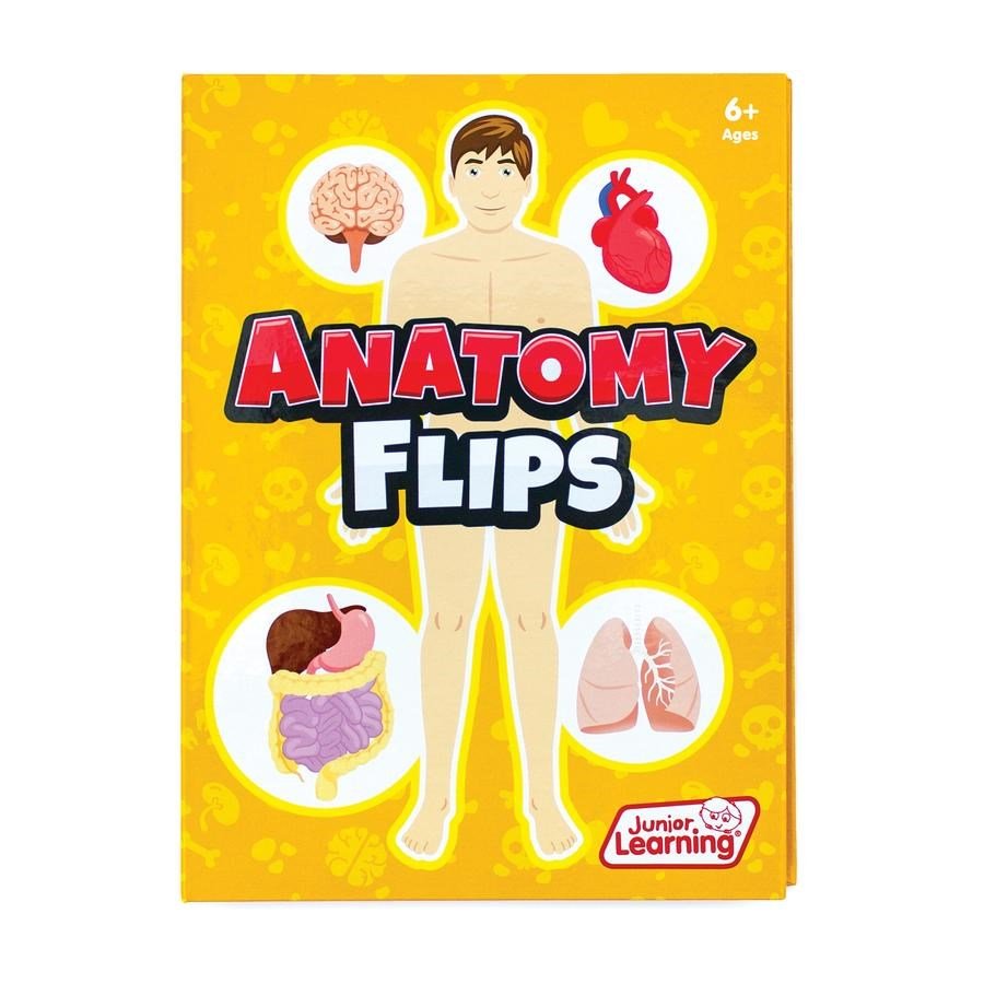 Junior Learning Anatomy Flips - ABC School Supplies