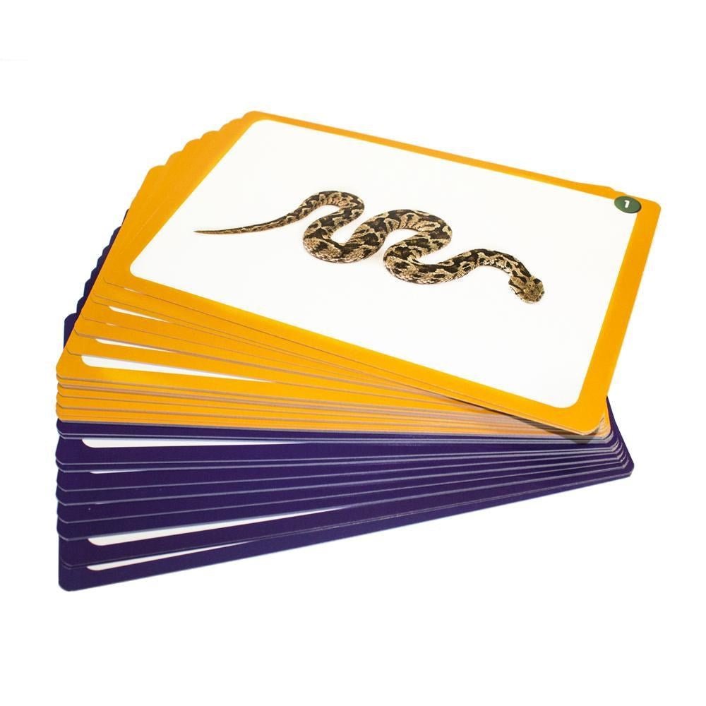 Junior Learning Letter Sound Picture Cards - ABC School Supplies