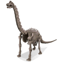 KidzLabs - Dig a Dinosaur Skeleton - Brachiosaurus - ABC School Supplies