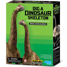 KidzLabs - Dig a Dinosaur Skeleton - Brachiosaurus - ABC School Supplies