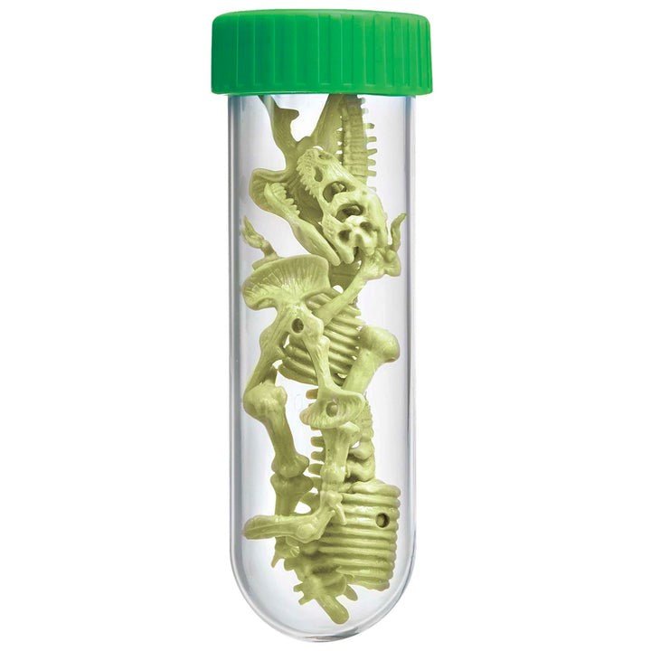 Kidzlabs - Glowing T - Rex Skeleton - ABC School Supplies