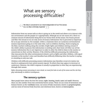 **LDA Target Ladders: Sensory Processing - ABC School Supplies