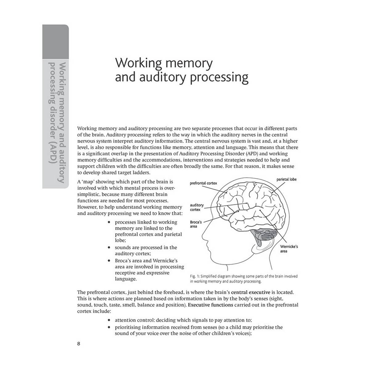 LDA Target Ladders: Working Memory and Auditory Processing - ABC School Supplies