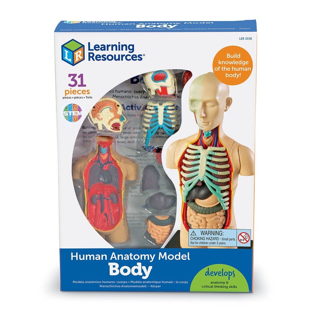 Learning Resources Anatomy Model Human Body - ABC School Supplies
