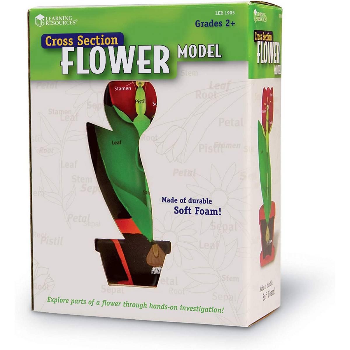 Learning Resources Crosssection Flower Model - ABC School Supplies