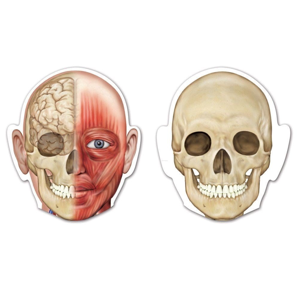 Learning Resources Double Sided Magnetic Human Body - ABC School Supplies