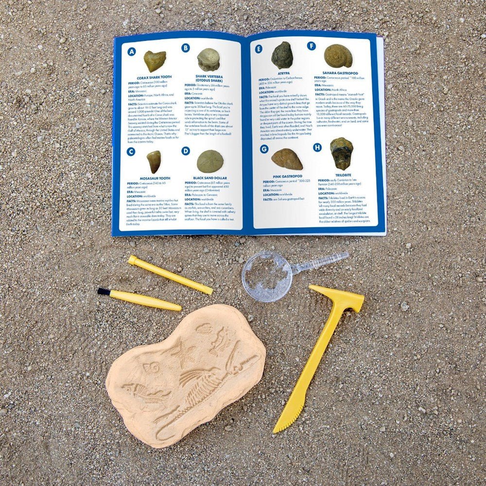 Learning Resources Geosafari® Fossil Excavation Kit - ABC School Supplies