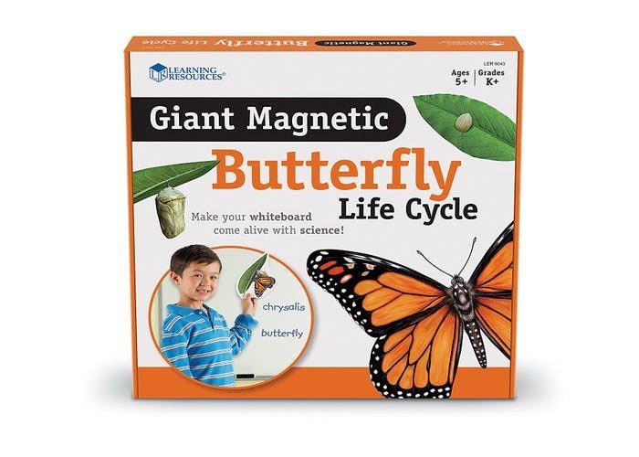 Learning Resources Giant Magnetic Butterfly Life Cycle - ABC School Supplies