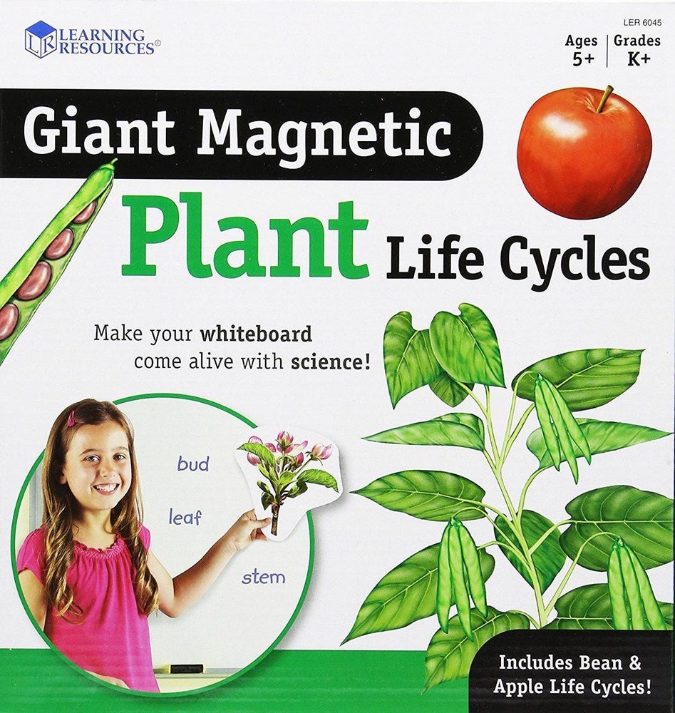 Learning Resources Giant Magnetic Plant Life Cycle - ABC School Supplies