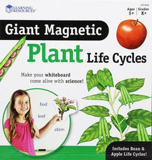 Learning Resources Giant Magnetic Plant Life Cycle - ABC School Supplies