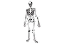 Learning Resources Skeleton Foam Floor Puzzle - ABC School Supplies