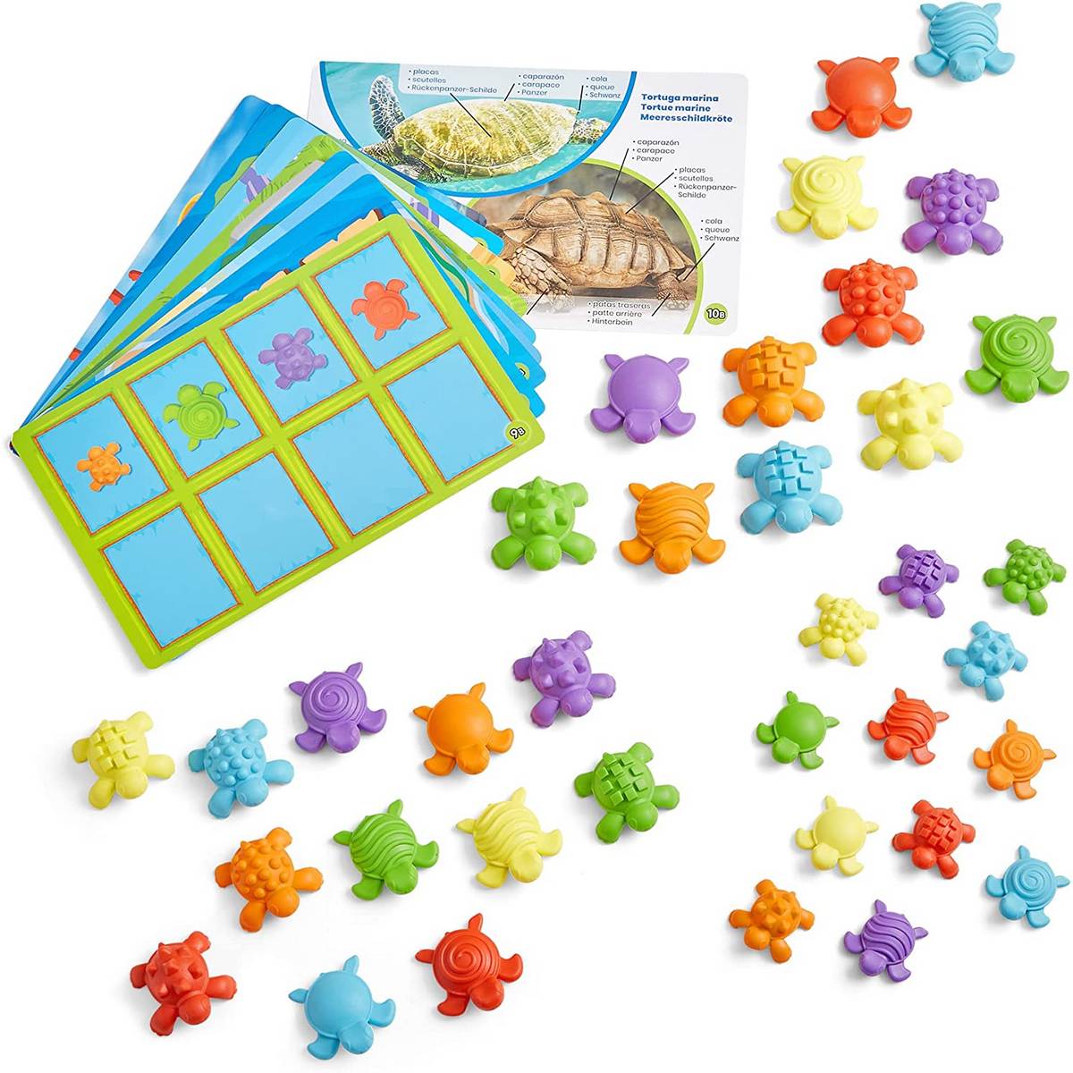 Learning Resources Tactile Turtles Maths Activity Set - ABC School Supplies