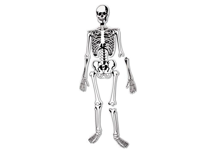 Learning Resources Skeleton Foam Floor Puzzle