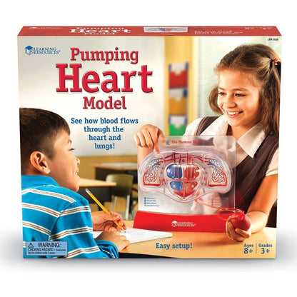 Pumping Heart Model