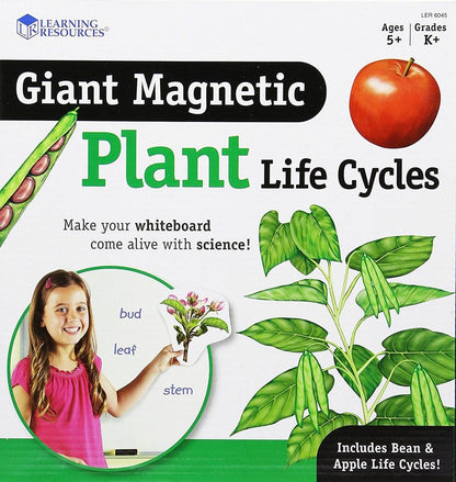 Giant Magnetic Plant Life Cycle