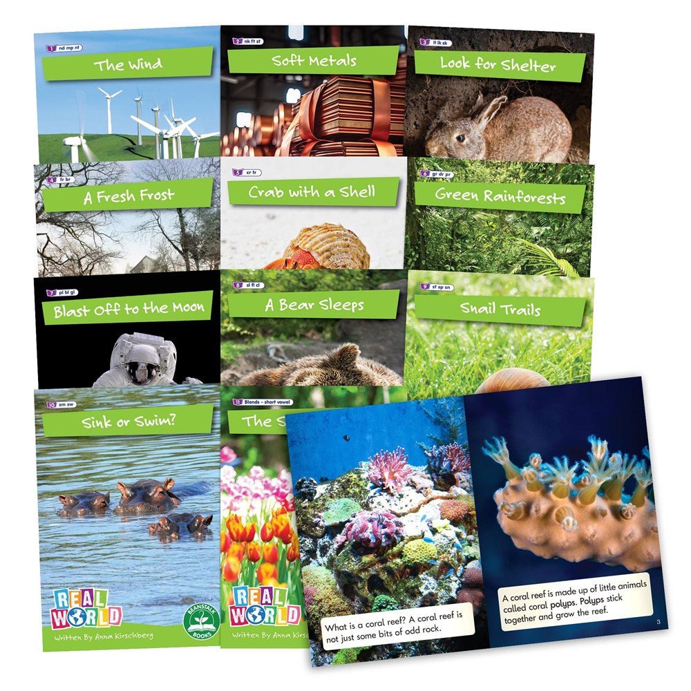 Letters & Sounds Real World Non - Fiction Hi - Lo Decodables Phase 4 - ABC School Supplies