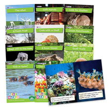 Letters & Sounds Real World Non - Fiction Hi - Lo Decodables Phase 4 - ABC School Supplies