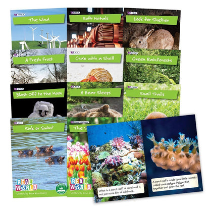 Letters & Sounds Real World Non - Fiction Hi - Lo Decodables Phase 4 - ABC School Supplies