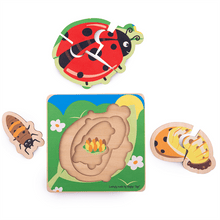 Lifecycle Layer Puzzle - Ladybug - ABC School Supplies