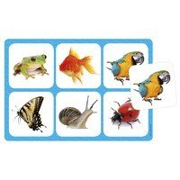 Maxilotto Animals - ABC School Supplies