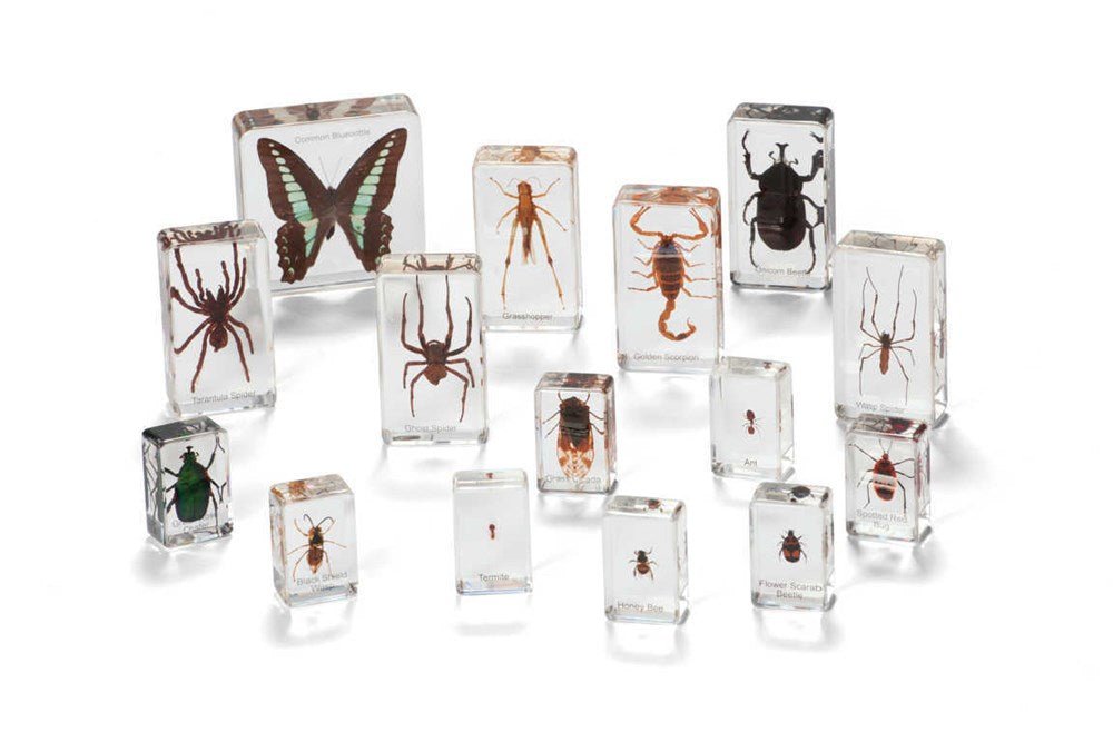 Mini Beasts Insects And Spiders (Large Set) - ABC School Supplies