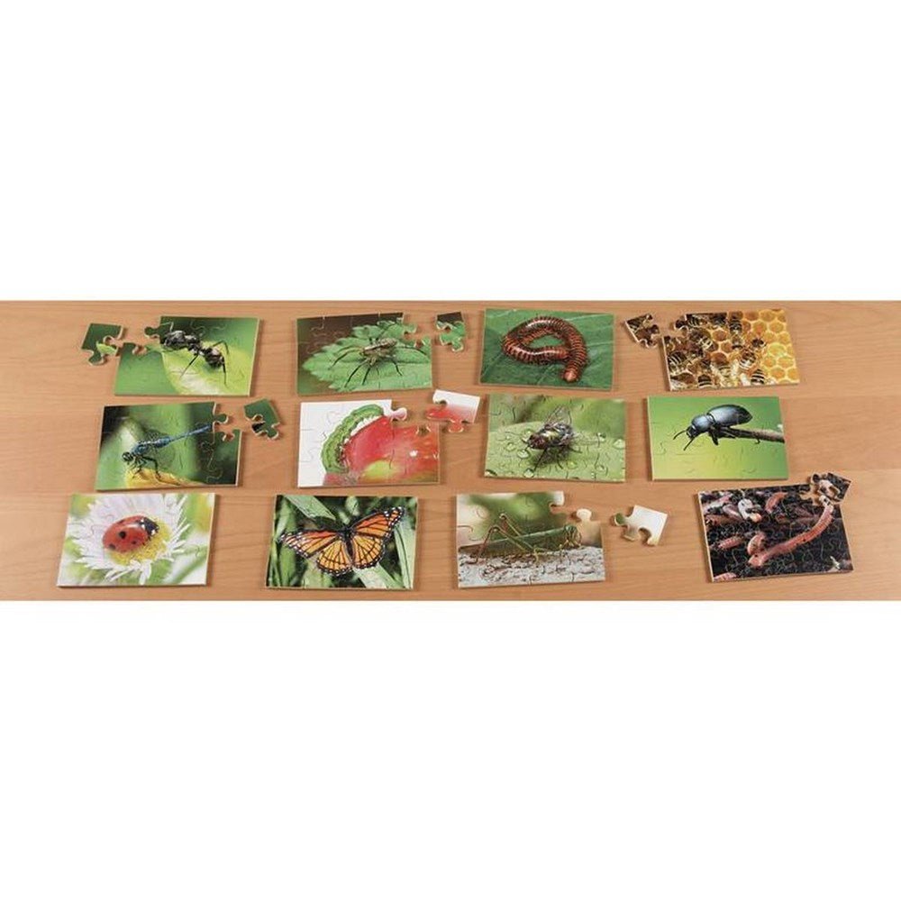 Mini Beasts Puzzles Pack of 12 - ABC School Supplies