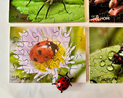 Mini Beasts Puzzles Pack of 12 - ABC School Supplies