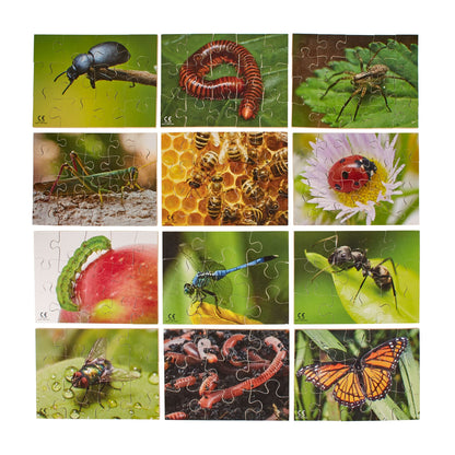 Mini Beasts Puzzles Pack of 12 - ABC School Supplies