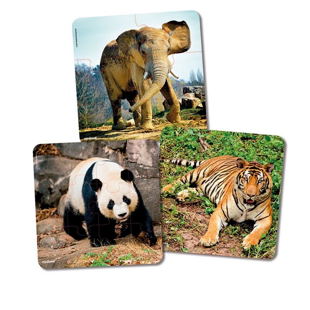 Miniland 3 Progressive Puzzles - Plant Life - ABC School Supplies