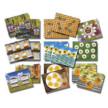 **Natural Spring - Summer Number Cards - ABC School Supplies