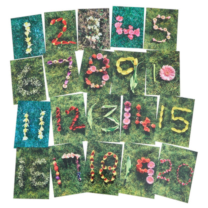 **Natural Spring - Summer Number Cards - ABC School Supplies