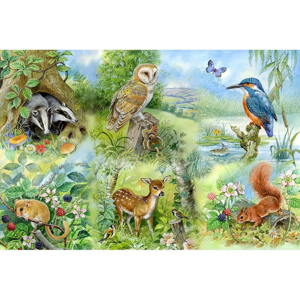 Nature Study - BIG 250 Piece Jigsaw Puzzle - ABC School Supplies