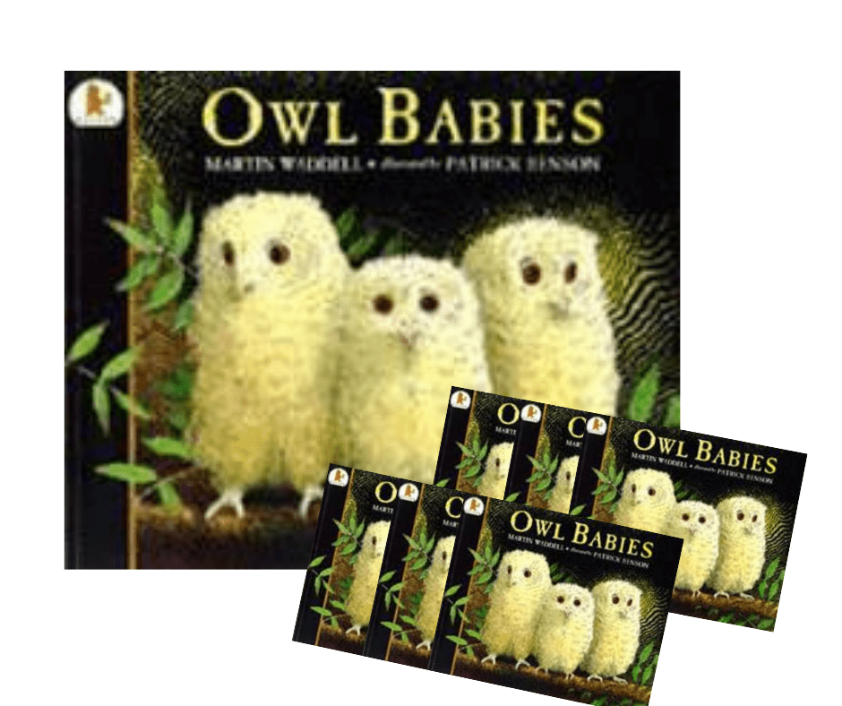 No Back In Stock Date Owl Babies Big Book Bundle - ABC School Supplies