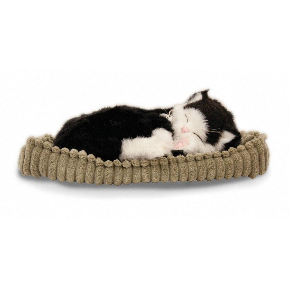 Perfectpetzzz - Sleeping cat black/white - ABC School Supplies