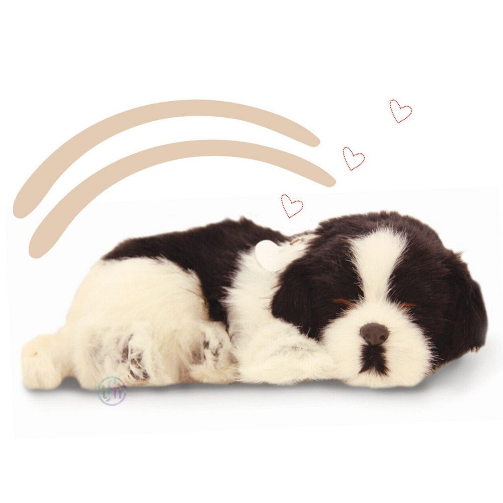 Perfectpetzzz - Sleeping dog Border Colli - ABC School Supplies