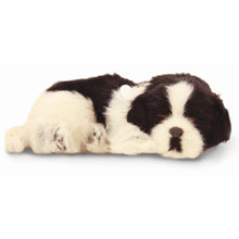 Perfectpetzzz - Sleeping dog Border Colli - ABC School Supplies