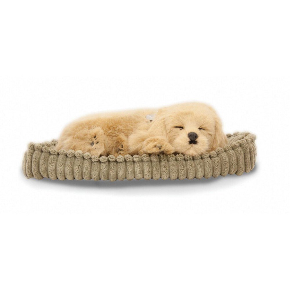 Perfectpetzzz - Sleeping dog - Golden retriever - ABC School Supplies