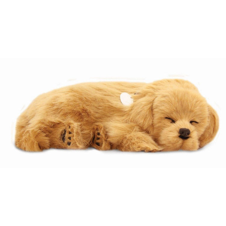 Perfectpetzzz - Sleeping dog - Golden retriever - ABC School Supplies