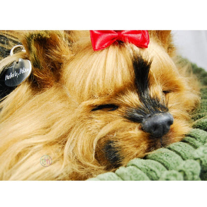 Perfectpetzzz - Sleeping dog - Yorkie - ABC School Supplies