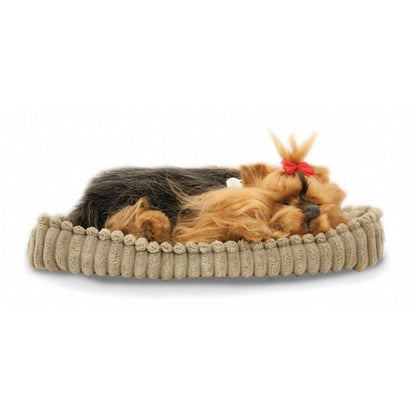 Perfectpetzzz - Sleeping dog - Yorkie - ABC School Supplies