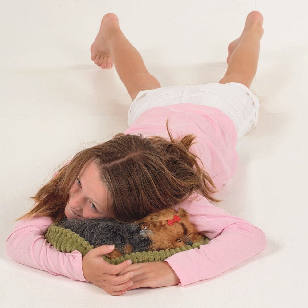 Perfectpetzzz - Sleeping dog - Yorkie - ABC School Supplies