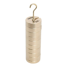 Philip Harris Hanging Slotted Masses, Brass (100g) - 9 x 10g Masses and Hanger - ABC School Supplies