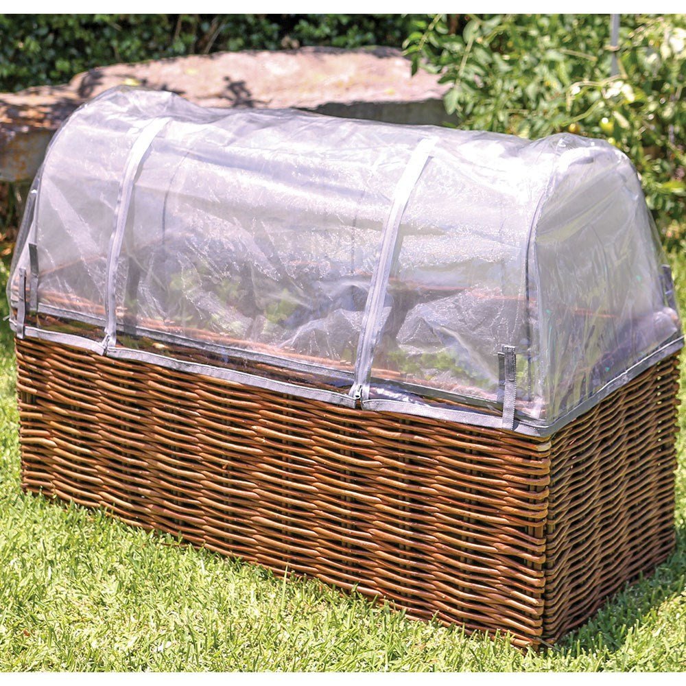 Planter Starter Kit - ABC School Supplies