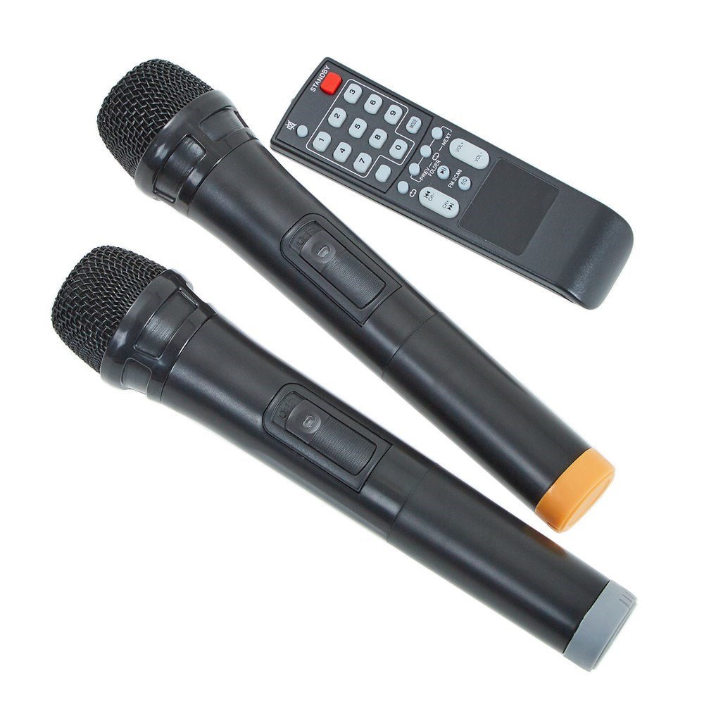 Portable School Pa System With 2 Mics - ABC School Supplies